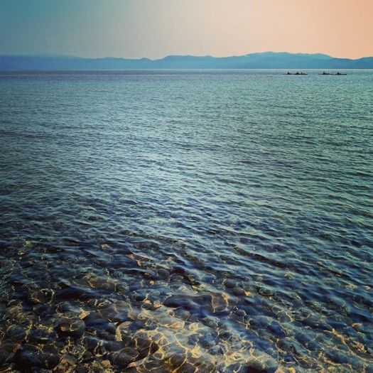 11809974_458762824248823_391886247_n