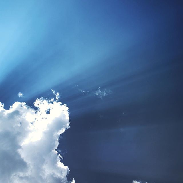 11849461_938029316260311_70161063_n