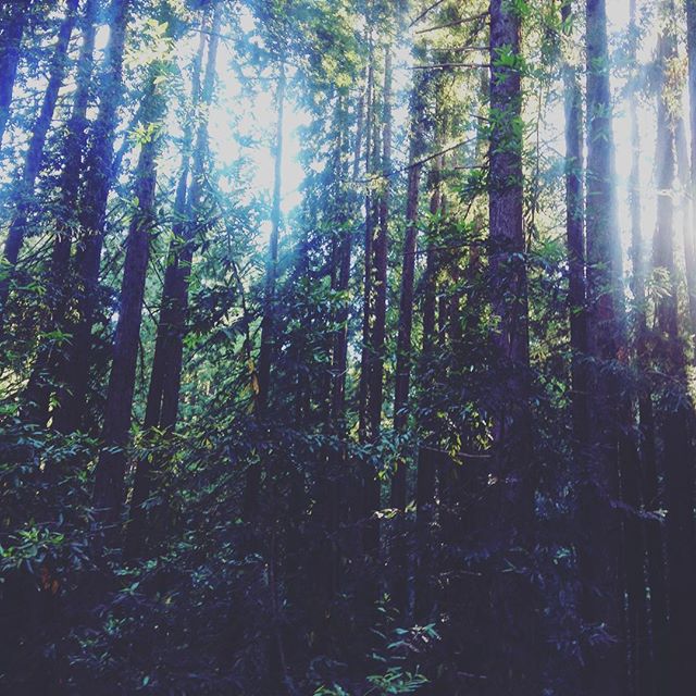 13743107_632537503572005_753347426_n