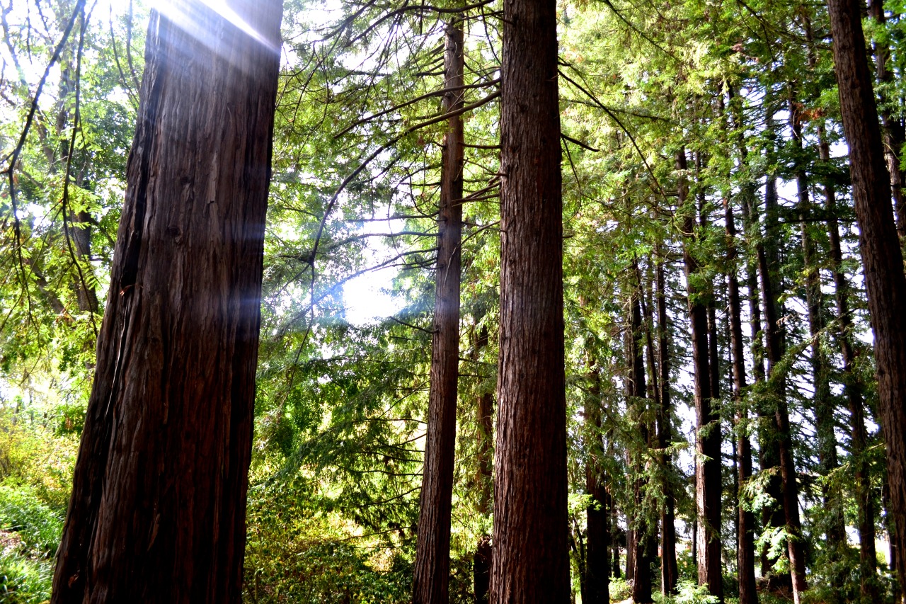 tumblr_nd8smrnL1g1tsyxppo5_1280